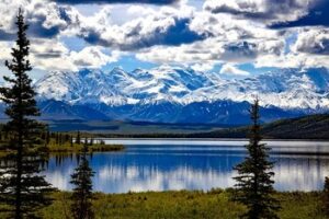 denali national park 