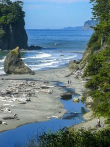 Olympic national park