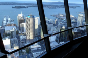 sky jump at sky tower in Auckland