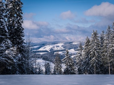 snowfall places in uttrakhand in 2024