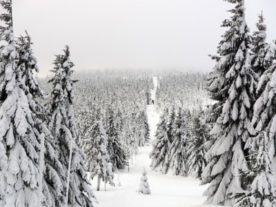 Snowfall Places in Uttrakhand