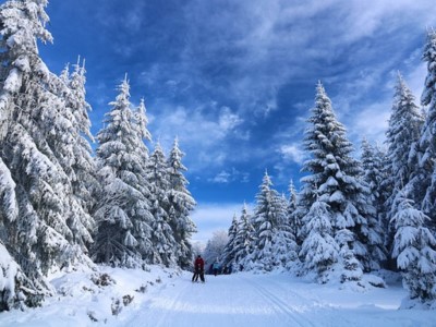 snowfall destinations of uttrakhand